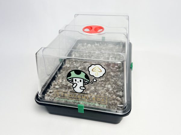 Thought Box Starter Kit | Medium - Image 3