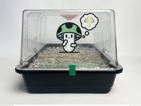 Thought Box Starter Kit | Medium - Image 2